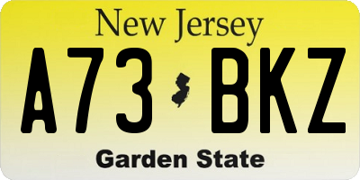 NJ license plate A73BKZ