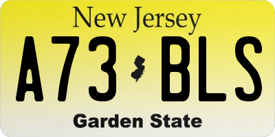 NJ license plate A73BLS
