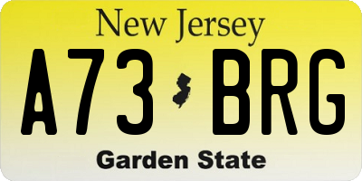 NJ license plate A73BRG