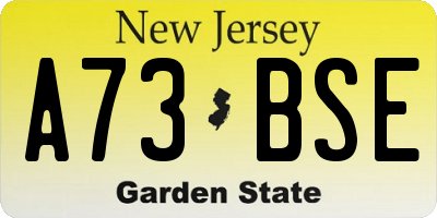 NJ license plate A73BSE