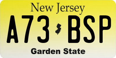 NJ license plate A73BSP