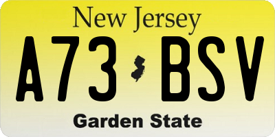 NJ license plate A73BSV