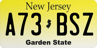 NJ license plate A73BSZ