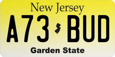 NJ license plate A73BUD
