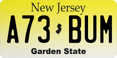NJ license plate A73BUM