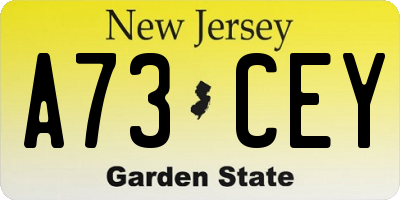 NJ license plate A73CEY