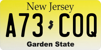 NJ license plate A73COQ