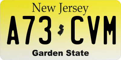 NJ license plate A73CVM