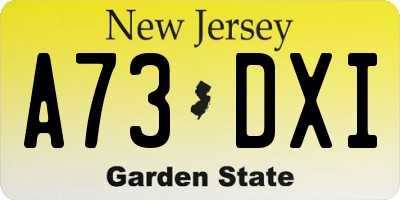 NJ license plate A73DXI