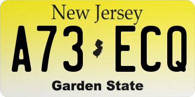 NJ license plate A73ECQ
