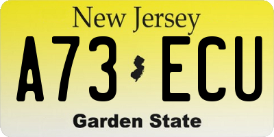NJ license plate A73ECU