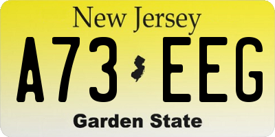 NJ license plate A73EEG