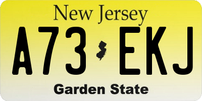 NJ license plate A73EKJ