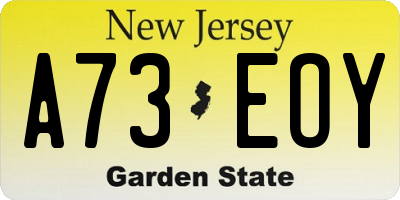 NJ license plate A73EOY