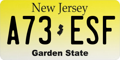 NJ license plate A73ESF
