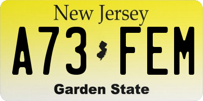 NJ license plate A73FEM