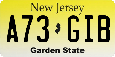 NJ license plate A73GIB
