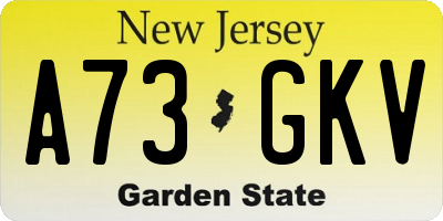 NJ license plate A73GKV