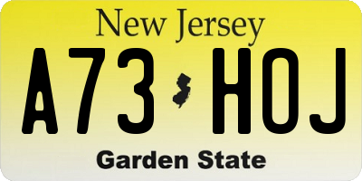 NJ license plate A73HOJ