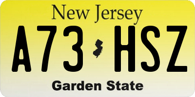 NJ license plate A73HSZ
