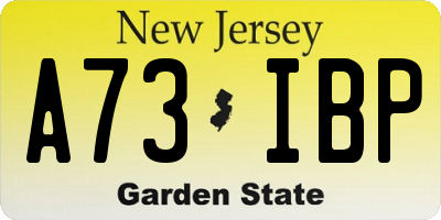 NJ license plate A73IBP