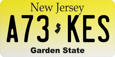NJ license plate A73KES