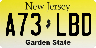 NJ license plate A73LBD
