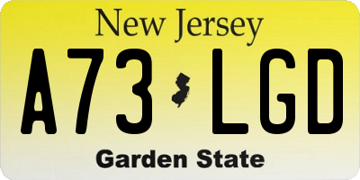 NJ license plate A73LGD