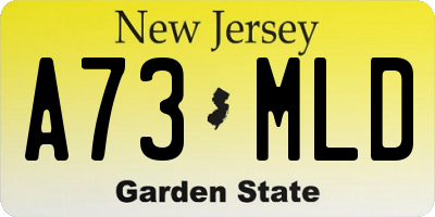 NJ license plate A73MLD