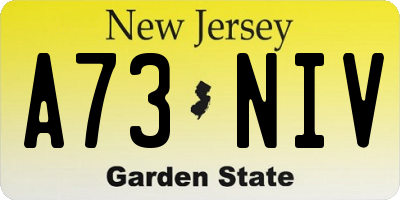 NJ license plate A73NIV