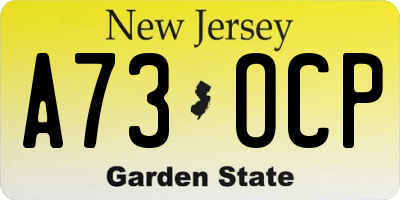 NJ license plate A73OCP