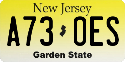 NJ license plate A73OES