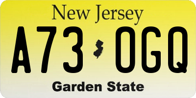 NJ license plate A73OGQ
