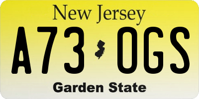 NJ license plate A73OGS