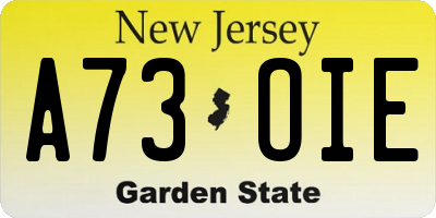 NJ license plate A73OIE