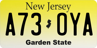 NJ license plate A73OYA