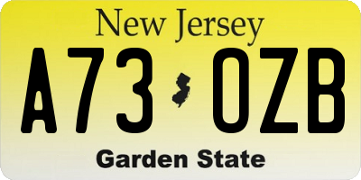 NJ license plate A73OZB
