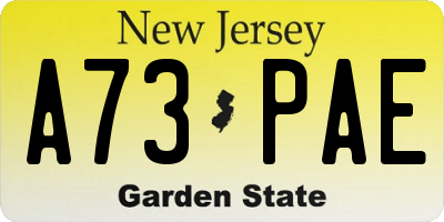 NJ license plate A73PAE