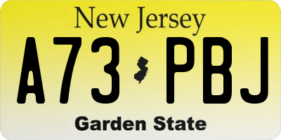 NJ license plate A73PBJ