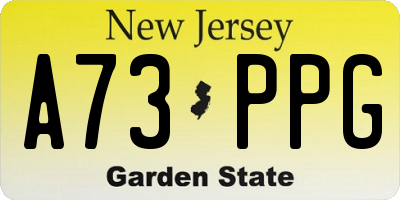 NJ license plate A73PPG