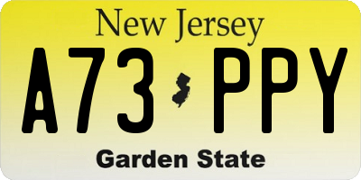 NJ license plate A73PPY