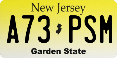 NJ license plate A73PSM