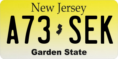 NJ license plate A73SEK