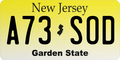 NJ license plate A73SOD