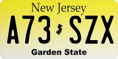 NJ license plate A73SZX