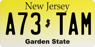 NJ license plate A73TAM