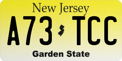NJ license plate A73TCC