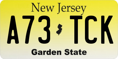 NJ license plate A73TCK