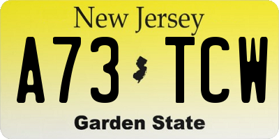 NJ license plate A73TCW