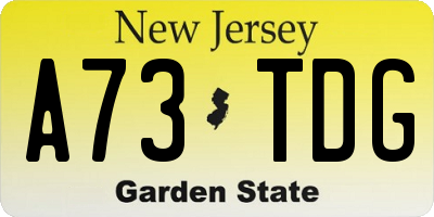 NJ license plate A73TDG